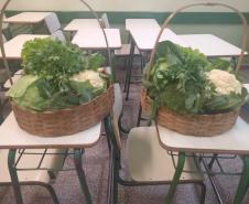 Reunião Alimentação Escolar.