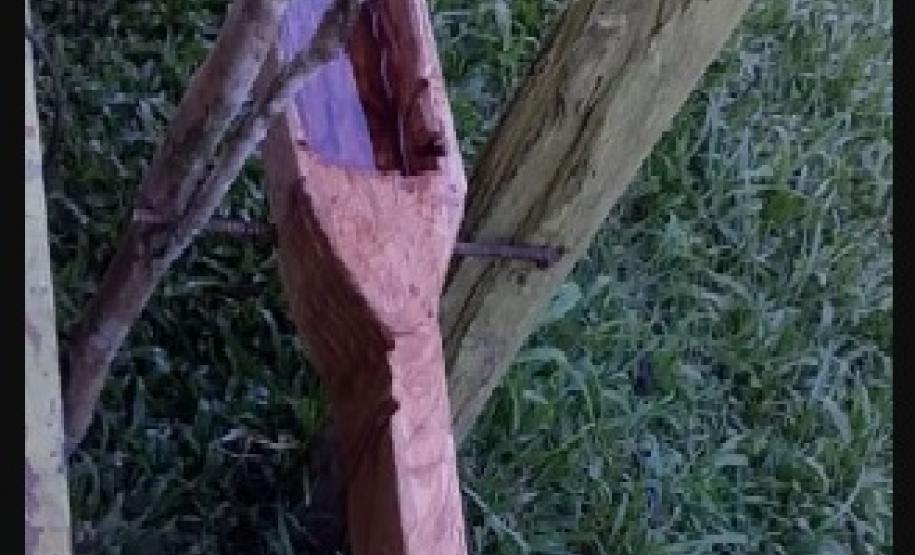 O Projeto é da Profª Carina Bill Wieczorkoski e alia conhecimento científico e prática, Física e Educação do Campo.